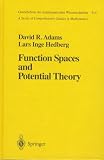 Function Spaces and Potential Theory (Grundlehren Der Mathematischen Wissenschaften, 314)