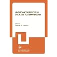 Hydrometallurgical Process Fundamentals (NATO Conference Series VI, Materials Science, Volume 10) by Renato G. Bautista