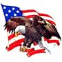 Eagle/Flag Womens T-Shirt Dress