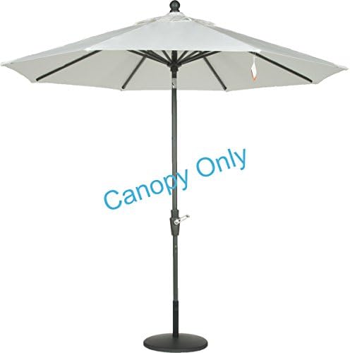 Amauri Zuma Shore 9 ft. Aluminum Sunbrella Market Umbrella