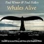 Whales Alive