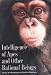 Intelligence of Apes and Other Rational Beings by Duane M. Rumbaugh, David A. Washburn