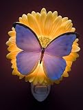 Blue Butterfly & Gerber Daisy Night Light