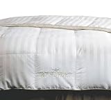 Royal Velvet Majestic Gold Hungarian White Goose Down King Comforter