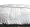 Royal Velvet Majestic Gold Hungarian White Goose Down King Comforter