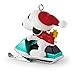 Hallmark Keepsake Ornament Peanuts Winter Fun with Snoopy and Woodstock 18th in The Winter Fun with Snoopy Series