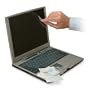 Kensington 55714 Cling2 Laptop Screen Protector 15.4 inch - notebook screen protector - Single