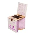 THE BROWN CORPORATION Toilettes portables Shit Box Little Jack's Box - pour enfants