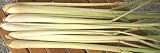 Thai Fresh Lemongrass - 8 stalks
