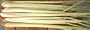 Thai Fresh Lemongrass - 8 stalks