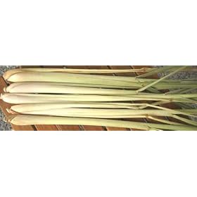 Thai Fresh Lemongrass - 8 stalks