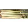 Thai Fresh Lemongrass - 8 stalks
