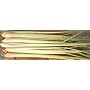 Thai Fresh Lemongrass - 8 stalks