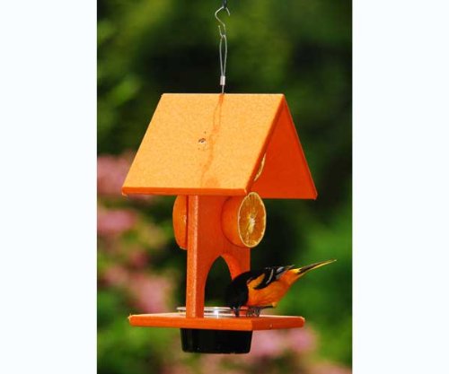 Fruit & Jelly Oriole Orange Halves