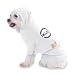 Work Is For People Who Don't Play The PICCOLO Hooded (Hoody) T-Shirt with pocket for your Dog or Cat XS White