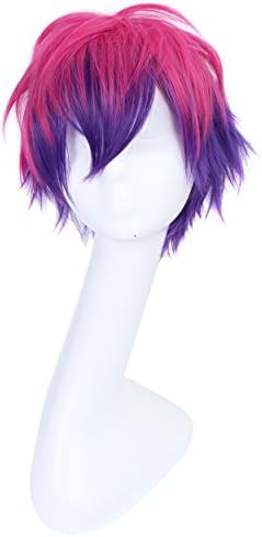 Fashion Kingdom Japanese Game of Life No Game No Life Sora Cosplay Wig Rose Red Purple Mix Ombre Short Anime Wigs Convention Event Hair