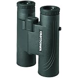 VANGUARD DT-8420P
