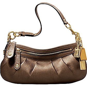coach hobo small
