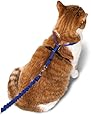 Petsafe Come With Me Kitty Harness and Bungee Leash, Medium, Royal Blue
