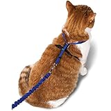 Petsafe Come With Me Kitty Harness and Bungee Leash, Medium, Royal Blue