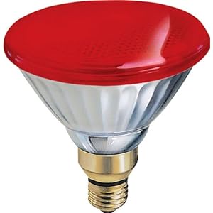 GE 13472 85-Watt Outdoor PAR38 Incandescent Light Bulb, Red