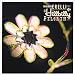 Hillbilly Pilgrim