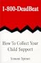 1-800-Deadbeat: How to Collect Your Child Support