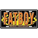 Chroma Graphics,Inc. 1867 H Davidson Fatboyw Flames Mtl by Chroma GraphicsInc.