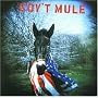 Gov'T Mule