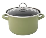 Chantal Enamel-On-Steel 4 Quart Soup Pot with Tempered Glass Lid, Glossy Garden Green
