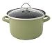 Chantal Enamel-On-Steel 4 Quart Soup Pot with Tempered Glass Lid, Glossy Garden Green