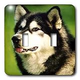 Wall Plates: Dogs Alaska Malamute - Alaska Malamute Dog - Light Switch Covers - double toggle switch