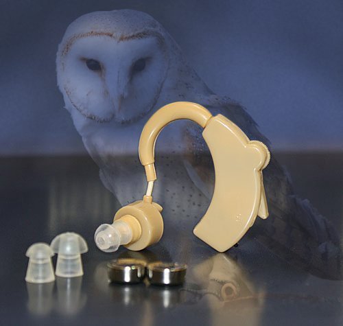 The Owl XL Hearing Amplifier