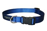 Large Blue Nylon Webbing Dog Collar: 1" wide, Adjusts 18-28".