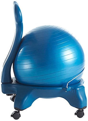 Gaiam Balance Ball Chair