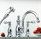 Mico Seashore Series Kitchen Faucet
