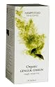 Hampstead organic fairtrade 25 Ginger Green tea sachets