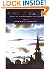 American Congregations, Volume 2: New Perspectives in the Study of Congregations