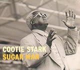 Sugar Man