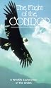 The Flight Of The Condor [VHS] [1985]