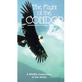 The Flight Of The Condor [VHS] [1985]