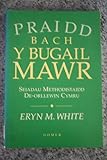 'Praidd bach y bugail mawr' : seiadau Methodistaidd de-orllewin Cymru 1737-50