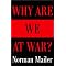 Wondering which Mailer book to read?