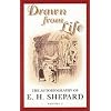 Drawn from Life