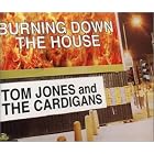 Burning Down the House Pt.1 by Tom Jones