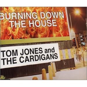 Burning Down the House Pt.1 by Tom Jones and Cardigans (Audio CD - 1999) - Import