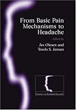 From Basic Pain Mechanisms to Headache: 14 (Frontiers in Headache Research Series)