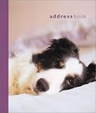 Dog at Home: Address Book