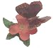 c1986 Franklin Mint Butterflies of the World The Fiery Acraea Butterfly FP87 porcelain sculpture - F408