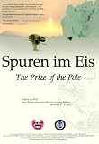 Spuren im Eis - 